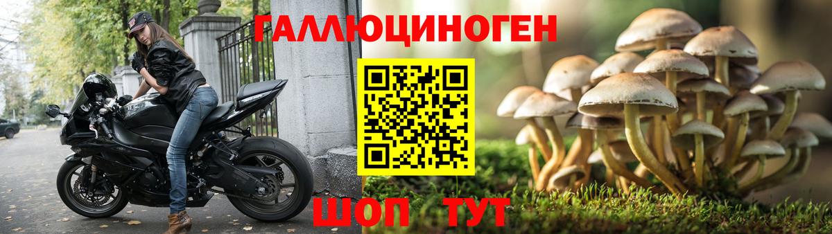 Обнинск  Псилоцибиновые грибы Psilocybe  как найти   Вход с VPN 